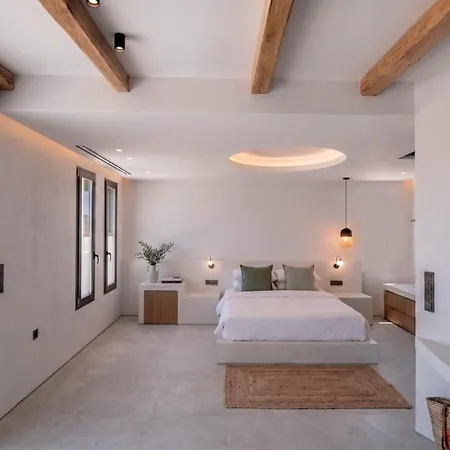 Otel The Lofts Paros Executive *
