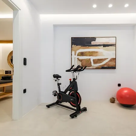 The Lofts Paros Executive Otel *